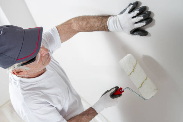 Best Crawl Space Mold Remediation  in , MI