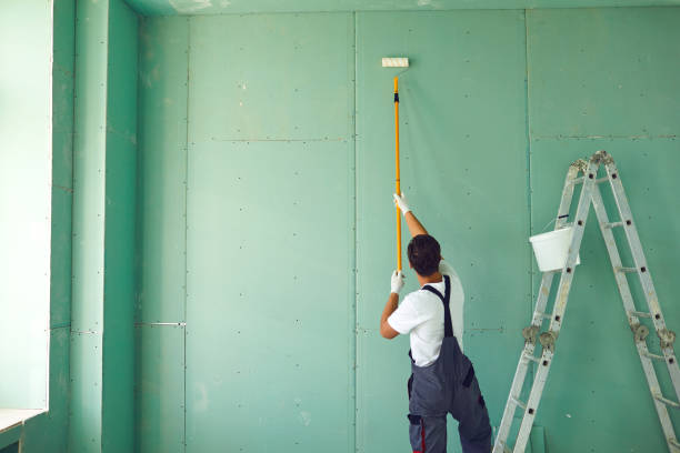  , MI Mold Removal Pros