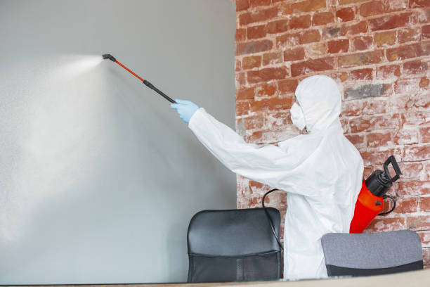 Best Mold Prevention Services  in , MI