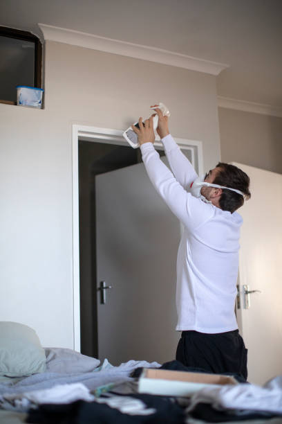 Best Industrial Mold Remediation  in , MI