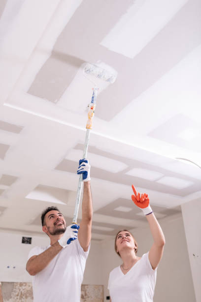 Best Basement Mold Removal  in , MI