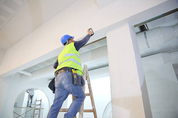  , MI Mold Removal Pros