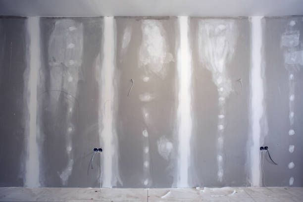 Best Mold Prevention Services  in , MI