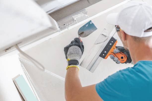 Best Biohazard Mold Removal  in , MI
